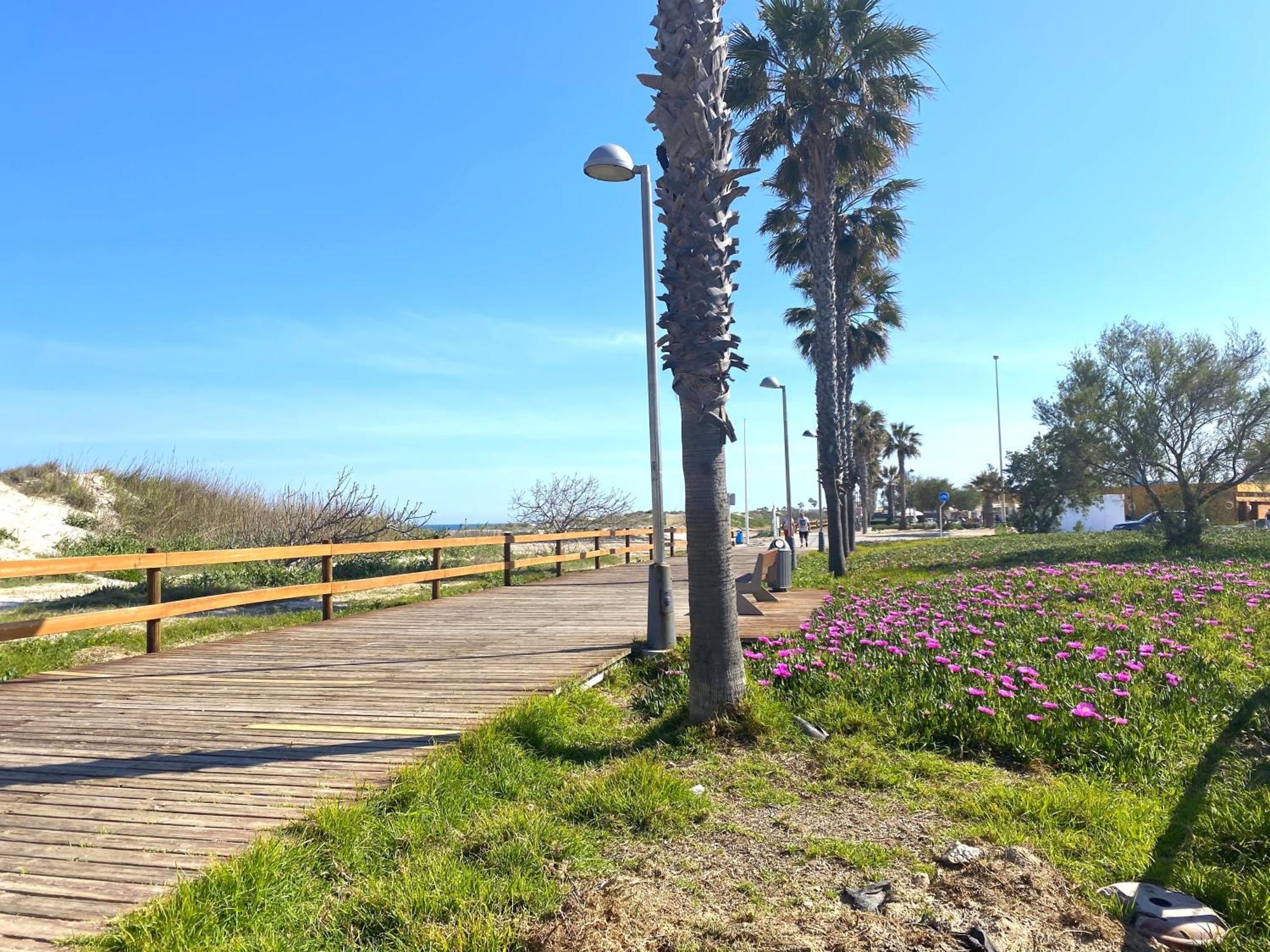 Precioso Apartamento A Tan Solo 300 M De La Playa Pilar de la Horadada Buitenkant foto